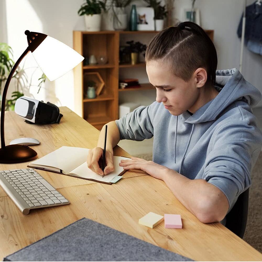 JEUNEU Cute Desk Lamp,Flexible Gooseneck Table Lamp-Modern Study Light
