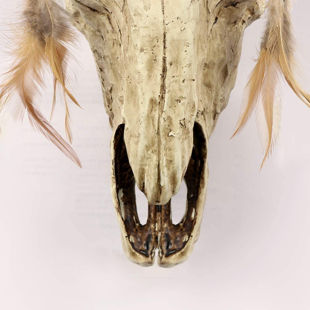 JEUNEU Rustic Bull Skull Feathers Animal Wall Hanging Artificial Resin Decoration