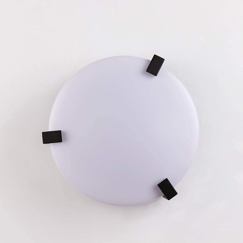 JEUNEU Acrylic White Ceiling Flush Mount Lamp