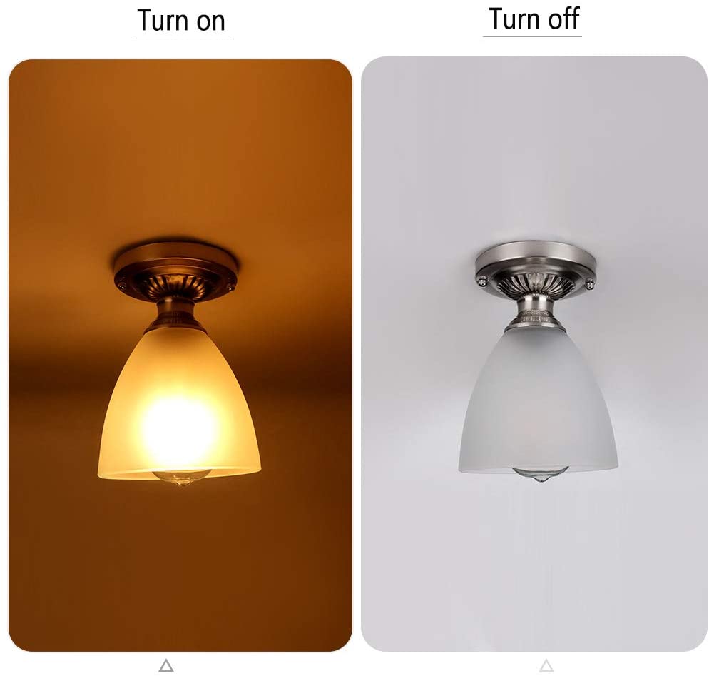 JEUNEU Frosted White Glass Ceiling Light Fixture
